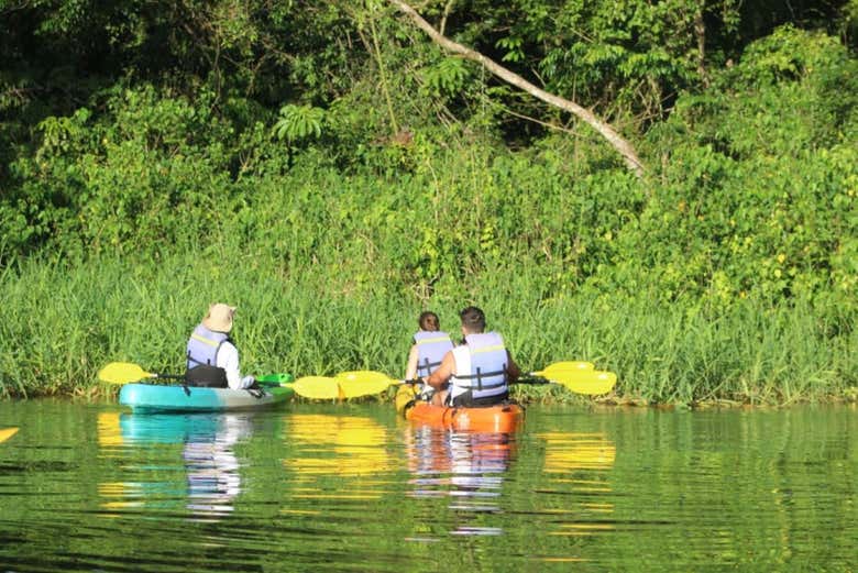 Tour en kayak por el Parque Nacional Tortuguero