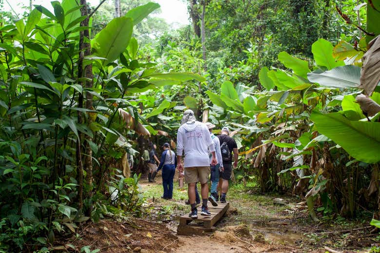 Excursión al Parque Nacional Corcovado