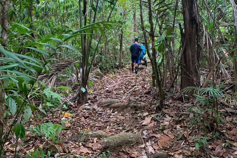 Excursión a la selva de Corcovado