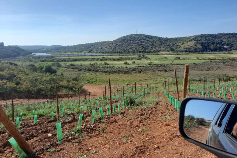 Tour en 4x4 por Portimão, Ferragudo y Silves