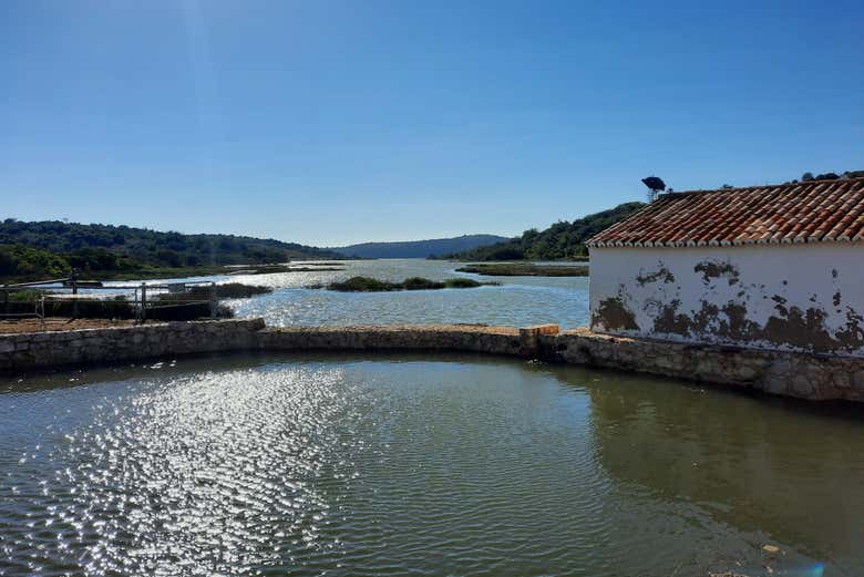 Tour en 4x4 por Portimão, Ferragudo y Silves