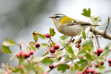 Senderismo por el Parque Natural do Alv�o