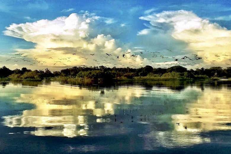 Tour por el lago do Maicá - ESP::_related_product