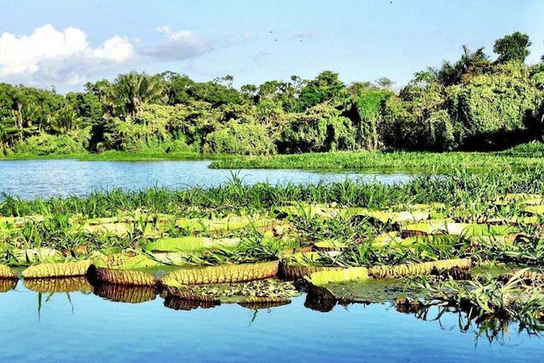 Tour por el lago do Maicá