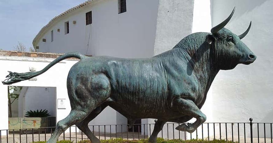 Visita Guiada en Ronda