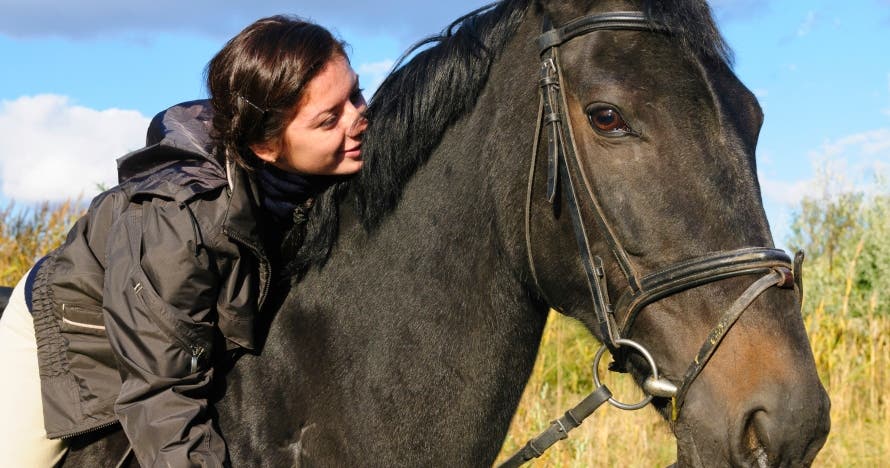 Paseo a caballo en la Sierra de Madrid