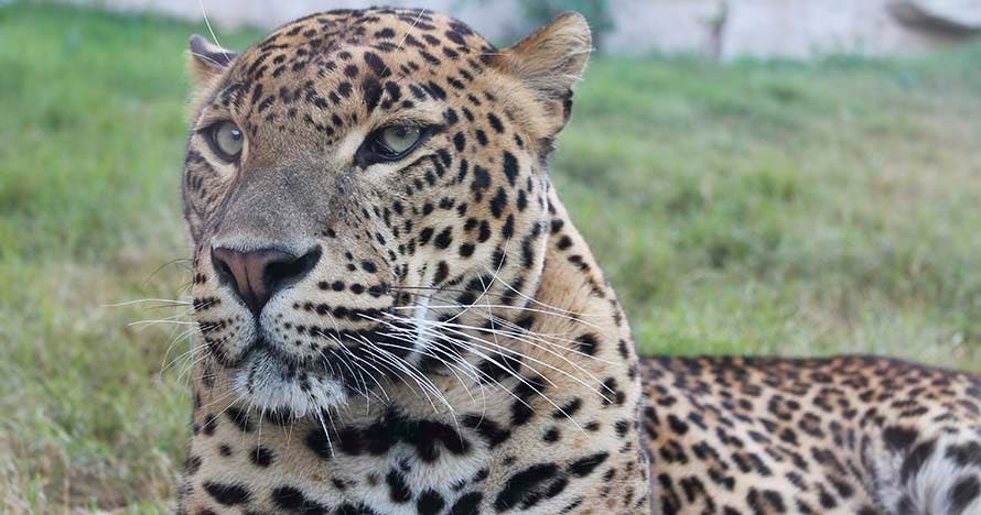 Terra Natura Murcia