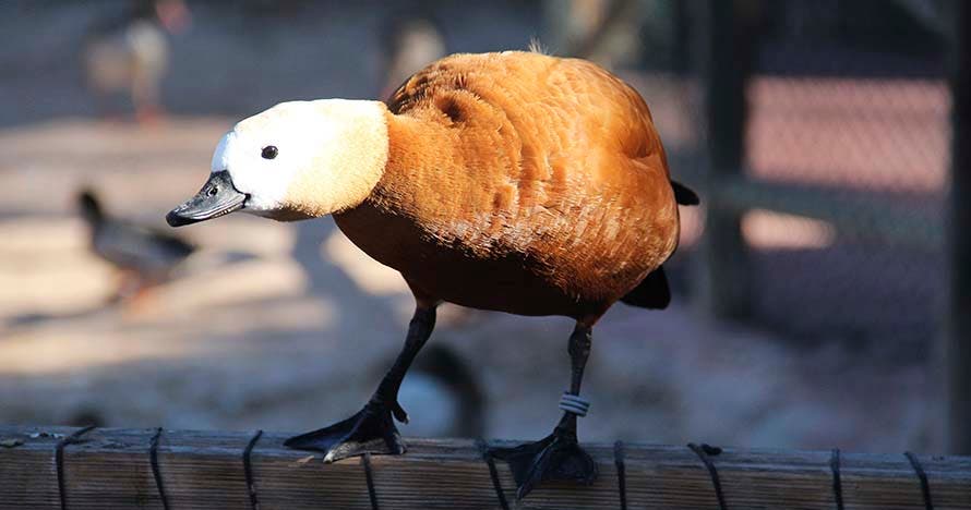 Terra Natura Murcia
