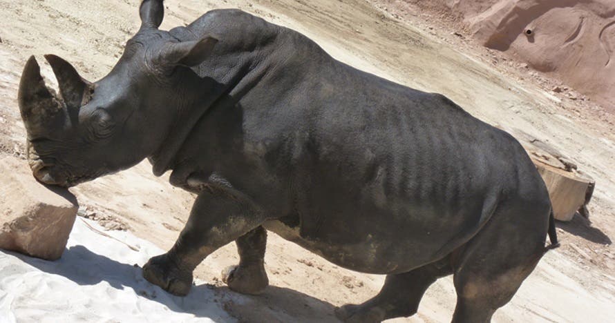 Terra Natura Murcia
