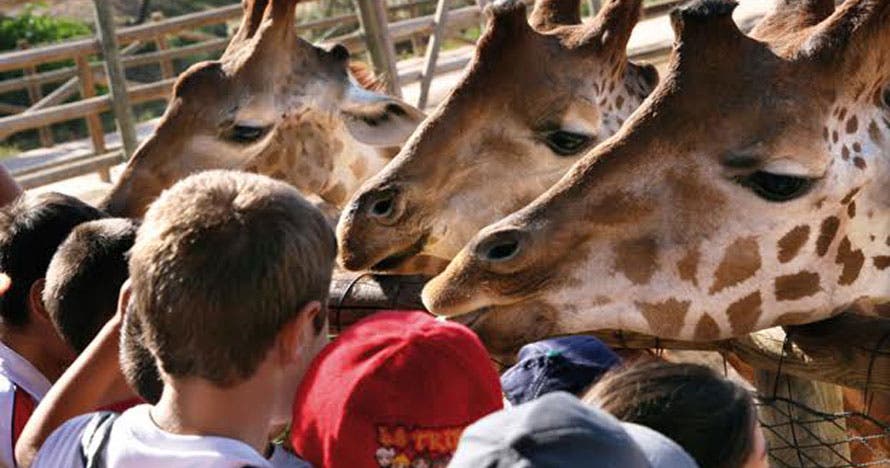 Terra Natura Murcia