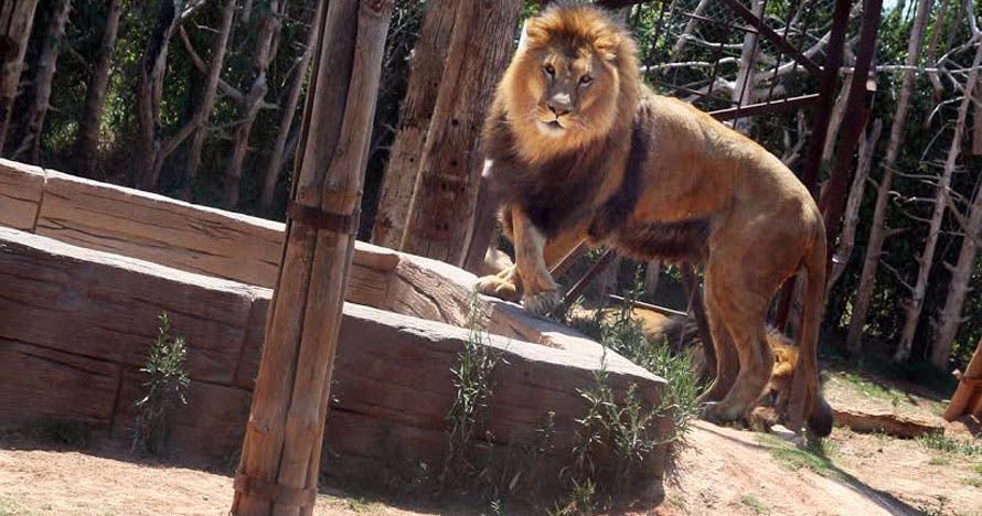 Terra Natura Murcia