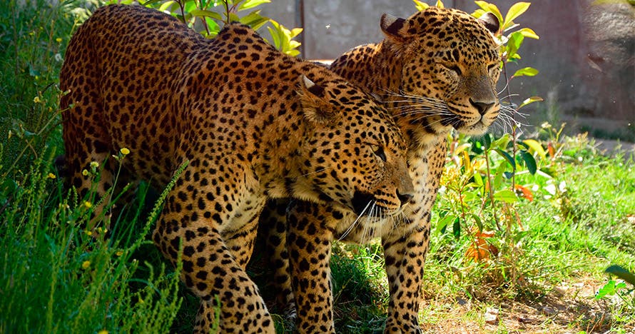 Terra Natura Murcia