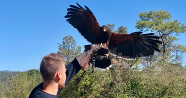 Visita guiada al Centre d'Apropament a la Natura_22