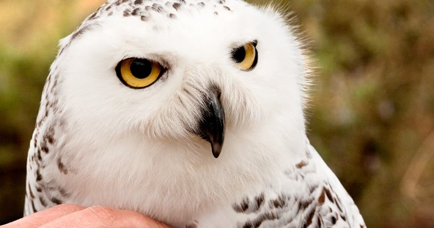 Descubre y disfruta la naturaleza en Centre d'Apropament a la Natura