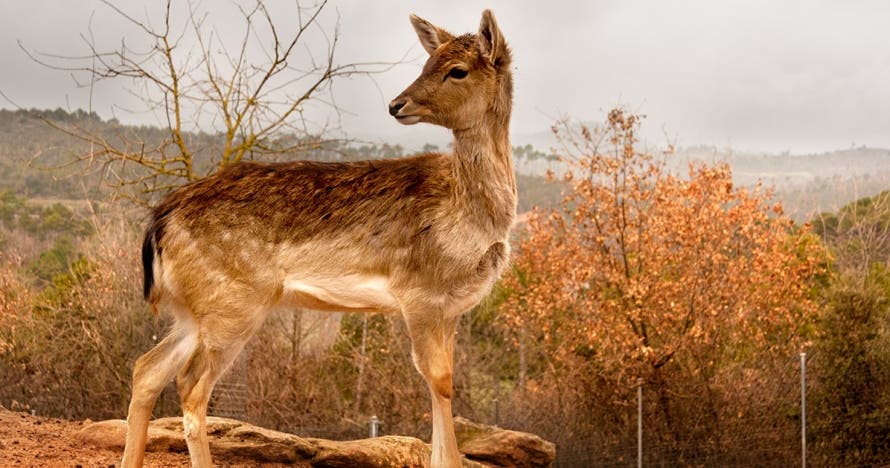 Descubre y disfruta la naturaleza en Centre d'Apropament a la Natura