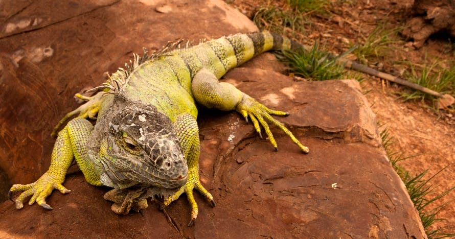 Descubre y disfruta la naturaleza en Centre d'Apropament a la Natura