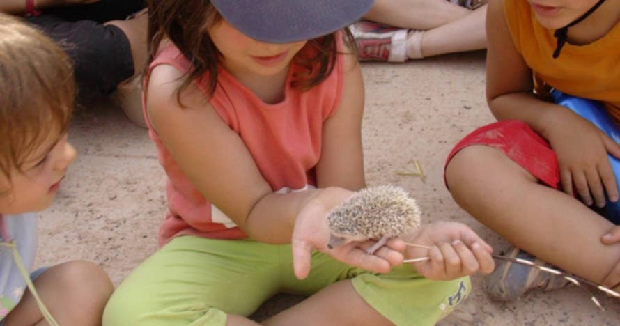 Descubre y disfruta la naturaleza en Centre d'Apropament a la Natura