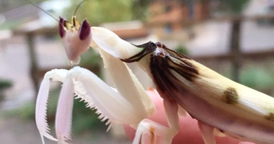 Descubre y disfruta la naturaleza en Centre d'Apropament a la Natura