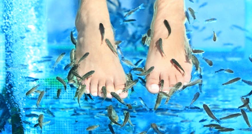 Pies suaves y relajados con el tratamiento Fish Spa