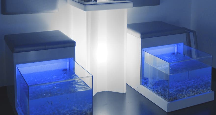 Pies suaves y relajados con el tratamiento Fish Spa