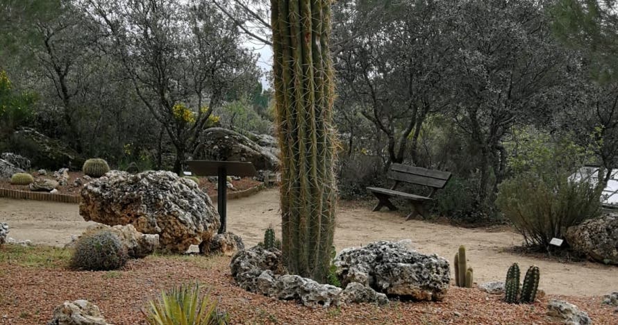 El Bosque Encantado: diversión en un jardín mágico
