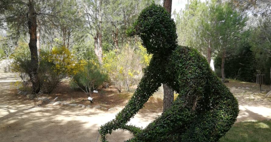El Bosque Encantado: diversión en un jardín mágico