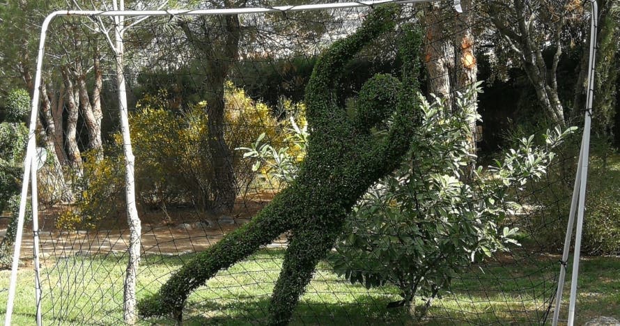 El Bosque Encantado: diversión en un jardín mágico