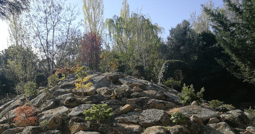 El Bosque Encantado: diversión en un jardín mágico