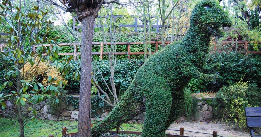 El Bosque Encantado: diversión en un jardín mágico
