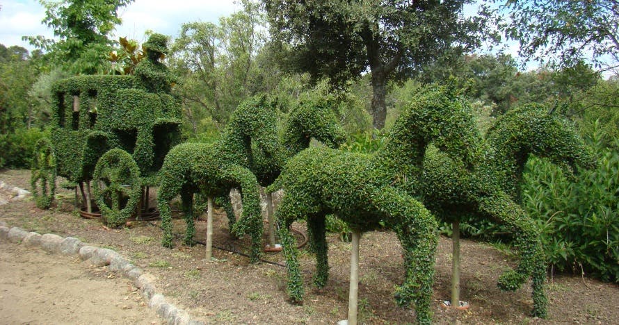 El Bosque Encantado: diversión en un jardín mágico
