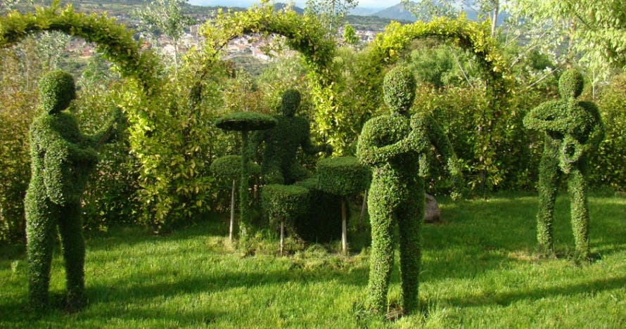 El Bosque Encantado: diversión en un jardín mágico