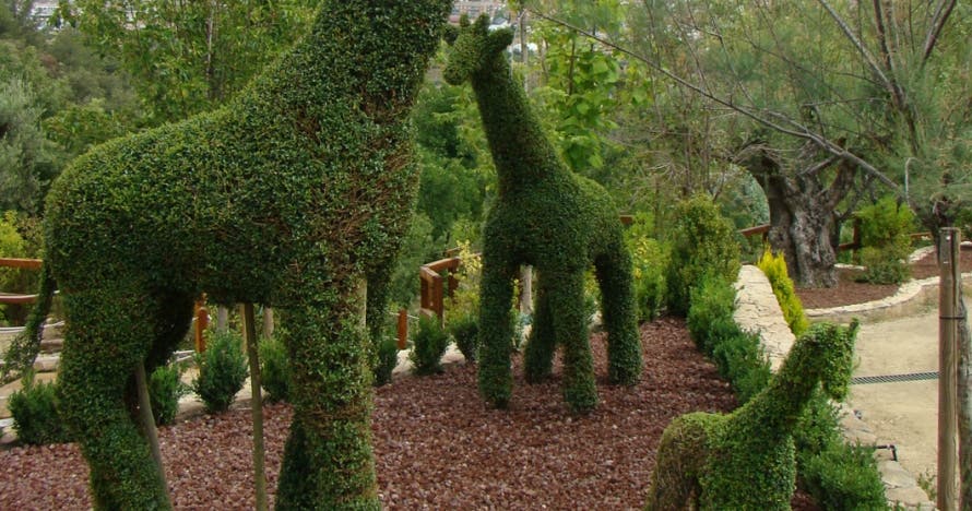 El Bosque Encantado: diversión en un jardín mágico