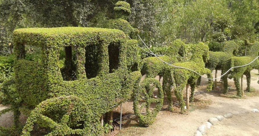 El Bosque Encantado: diversión en un jardín mágico