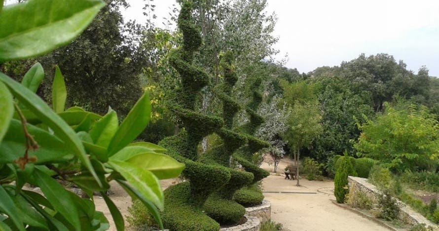 El Bosque Encantado: diversión en un jardín mágico