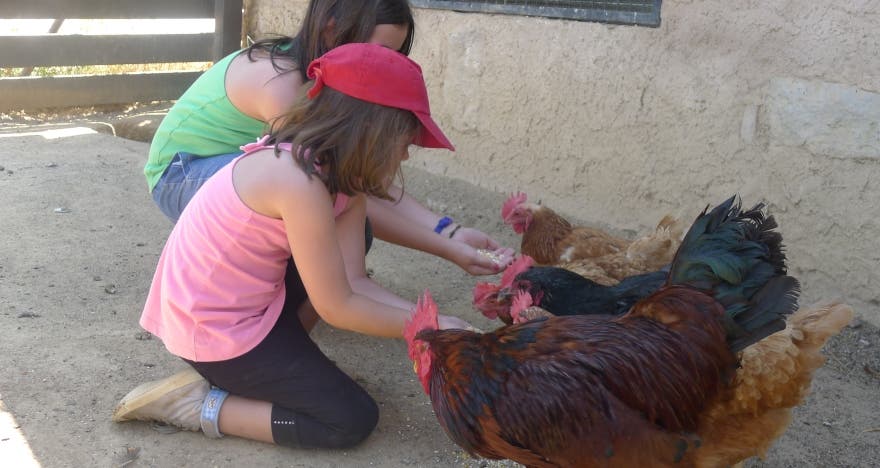 Toca los animales de la granja y descubre la masía