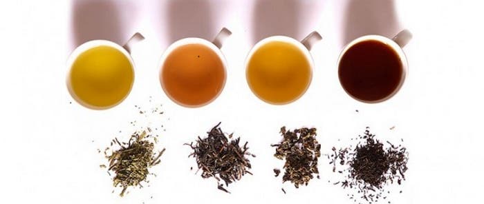 Taller de cata de té: reconoce y disfruta su aroma